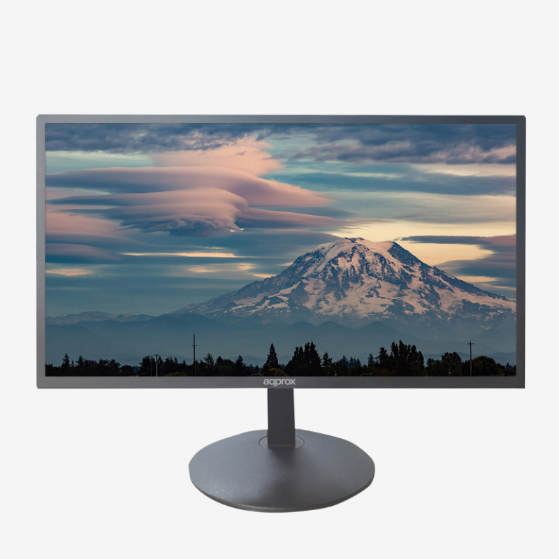 MONITOR APPM19B NEGRO APPROX