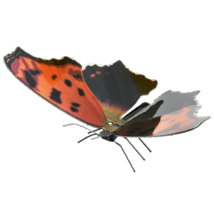 MAQUETA 3D METAL FASCINATIONS MARIPOSA EASTERN COMMA MONTAJE SIN PEGAMENTO NI SOLDADURA