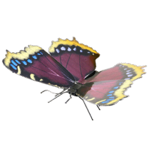 MAQUETA 3D METAL FASCINATIONS MARIPOSA MOURNING CLOAK MONTAJE SIN PEGAMENTO NI SOLDADURA