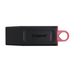 Kingston DataTraveler DTX 256GB USB 3.2 Gen1 Negro