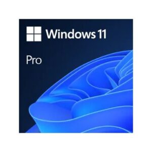 MICROSOFT WINDOWS 11 PRO 64 BITS ALL LENGUAJE 1 LICENCIA ** L. ELECTRÓNICA